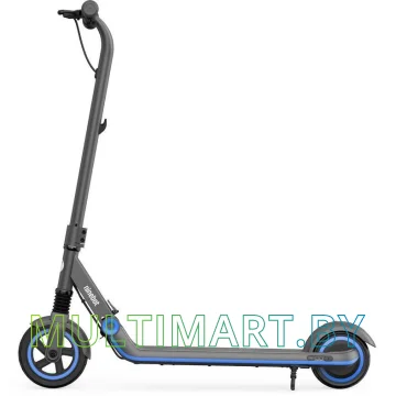 Электросамокат Ninebot Zing E10 (черный)